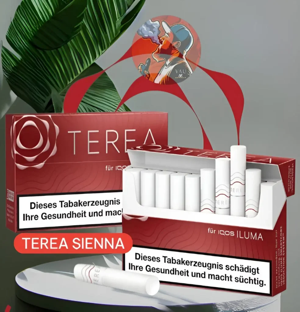 Terea Sienna Flavor for Iqos Iluma Heat-Not-Burn Kits Dubai