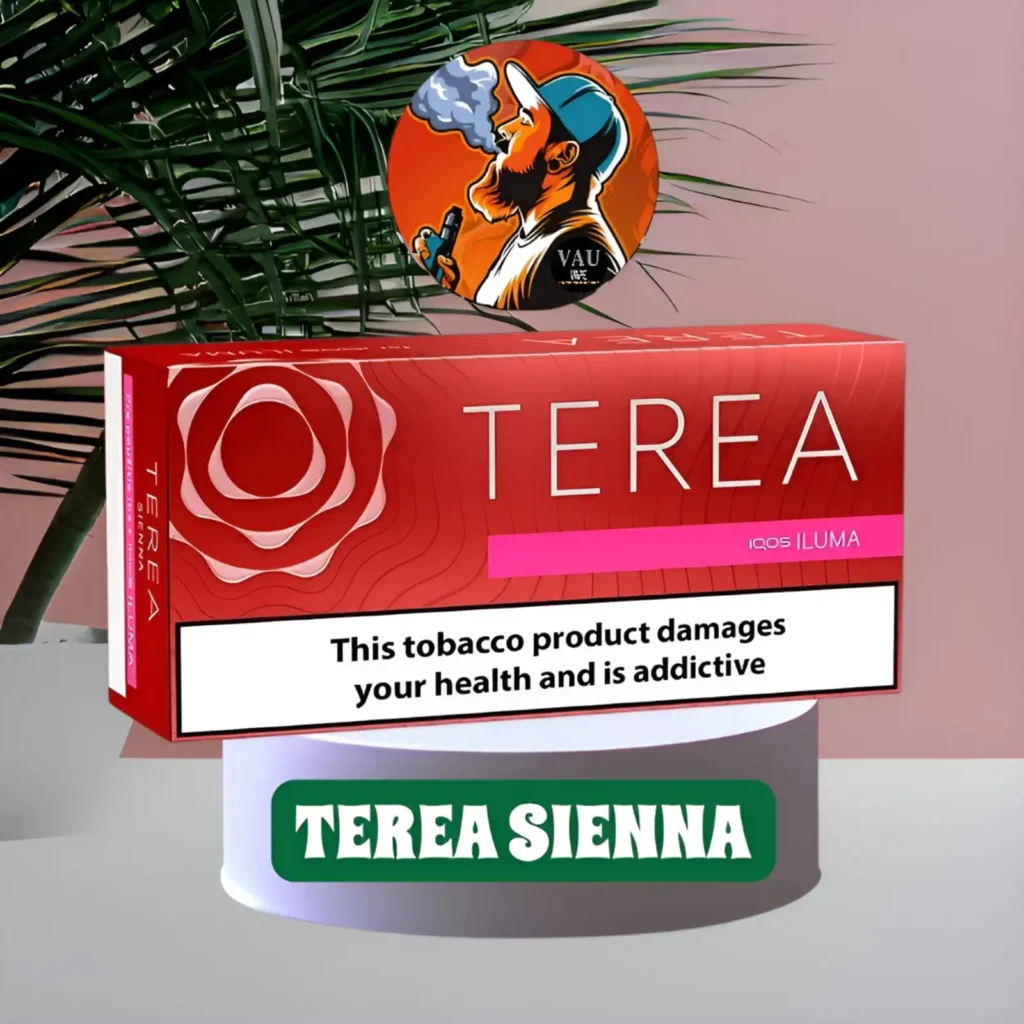 Terea Sienna Flavor for Iqos Iluma Heat-Not-Burn Kits Dubai