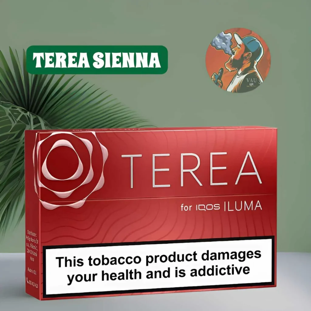 Terea Sienna Flavor for Iqos Iluma Heat-Not-Burn Kits Dubai