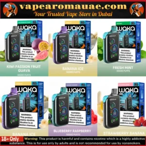 Waka Blast 50000 Puffs Ice Blast Disposable Vape - Dubai