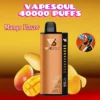 VAPESOUL 40000 Puffs Disposable Vape 40k - Dubai UAE