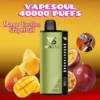 VAPESOUL 40000 Puffs Disposable Vape 40k - Dubai UAE