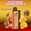 VAPESOUL 40000 Puffs Disposable Vape 40k - Dubai UAE