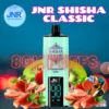 JNR Shisha Classic 80000 Puffs Best-selling Disposable Vape in Dubai UAE