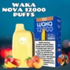 Waka Nova 12000 Puffs Disposable Vape in Dubai UAE