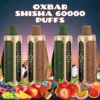Oxbar Shisha 60000 Puffs DTL Disposable Vape - Dubai