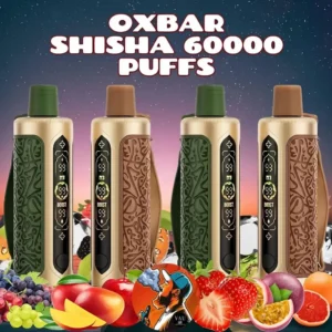 Oxbar Shisha 60000 Puffs DTL Disposable Vape - Dubai