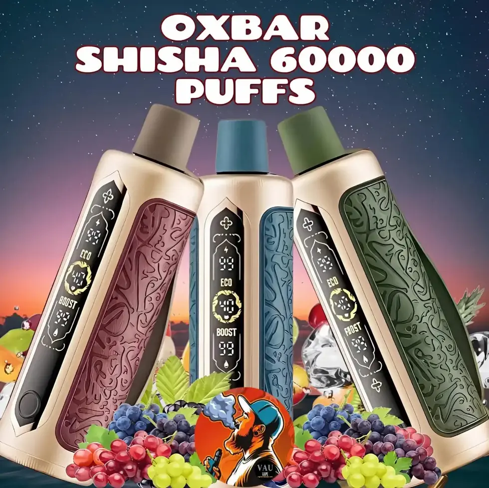 Oxbar Shisha 60000 Puffs DTL Disposable Vape - Dubai