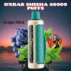 Oxbar Shisha 60000 Puffs DTL Disposable Vape - Dubai