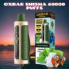 Oxbar Shisha 60000 Puffs DTL Disposable Vape - Dubai
