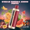Oxbar Shisha 60000 Puffs DTL Disposable Vape - Dubai