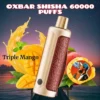 Oxbar Shisha 60000 Puffs DTL Disposable Vape - Dubai