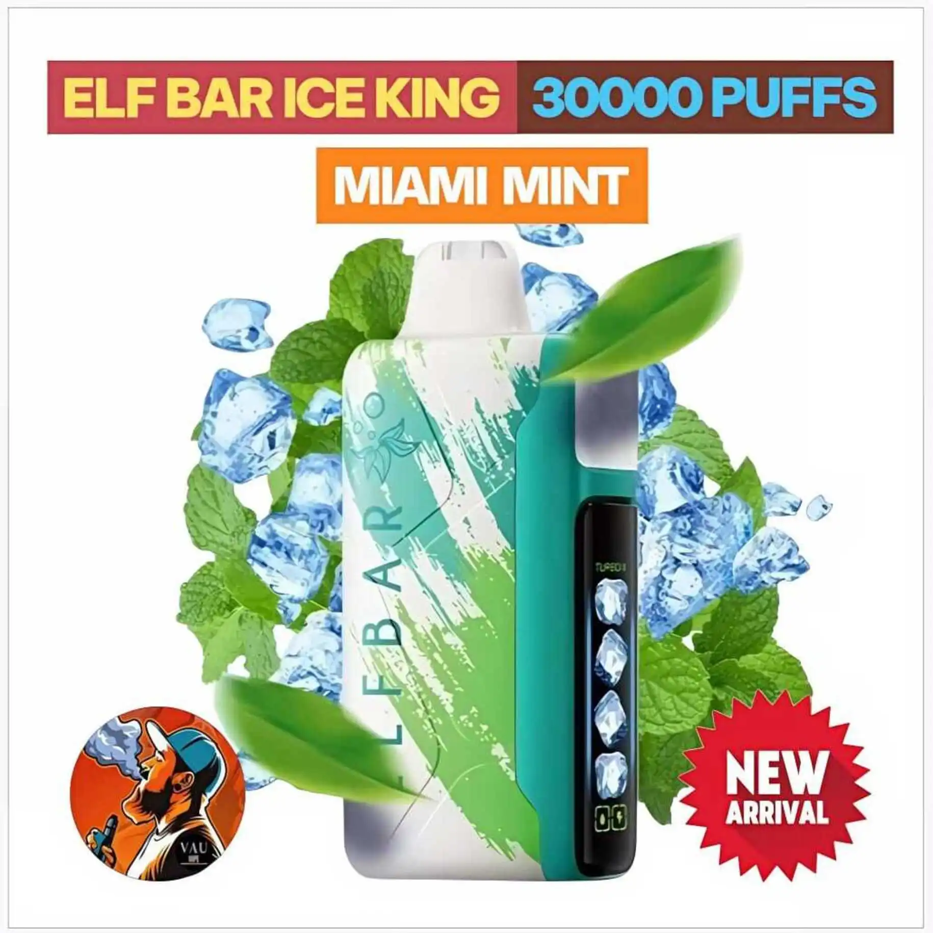 Elf Bar Ice King Miami Mint 30000 Puffs Disposable Vape - Dubai