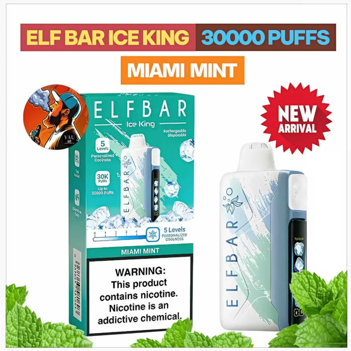 Elf Bar Ice King Miami Mint 30000 Puffs Disposable Vape - Dubai