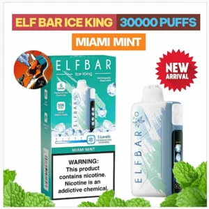 Elf Bar Ice King Miami Mint 30000 Puffs Disposable Vape - Dubai