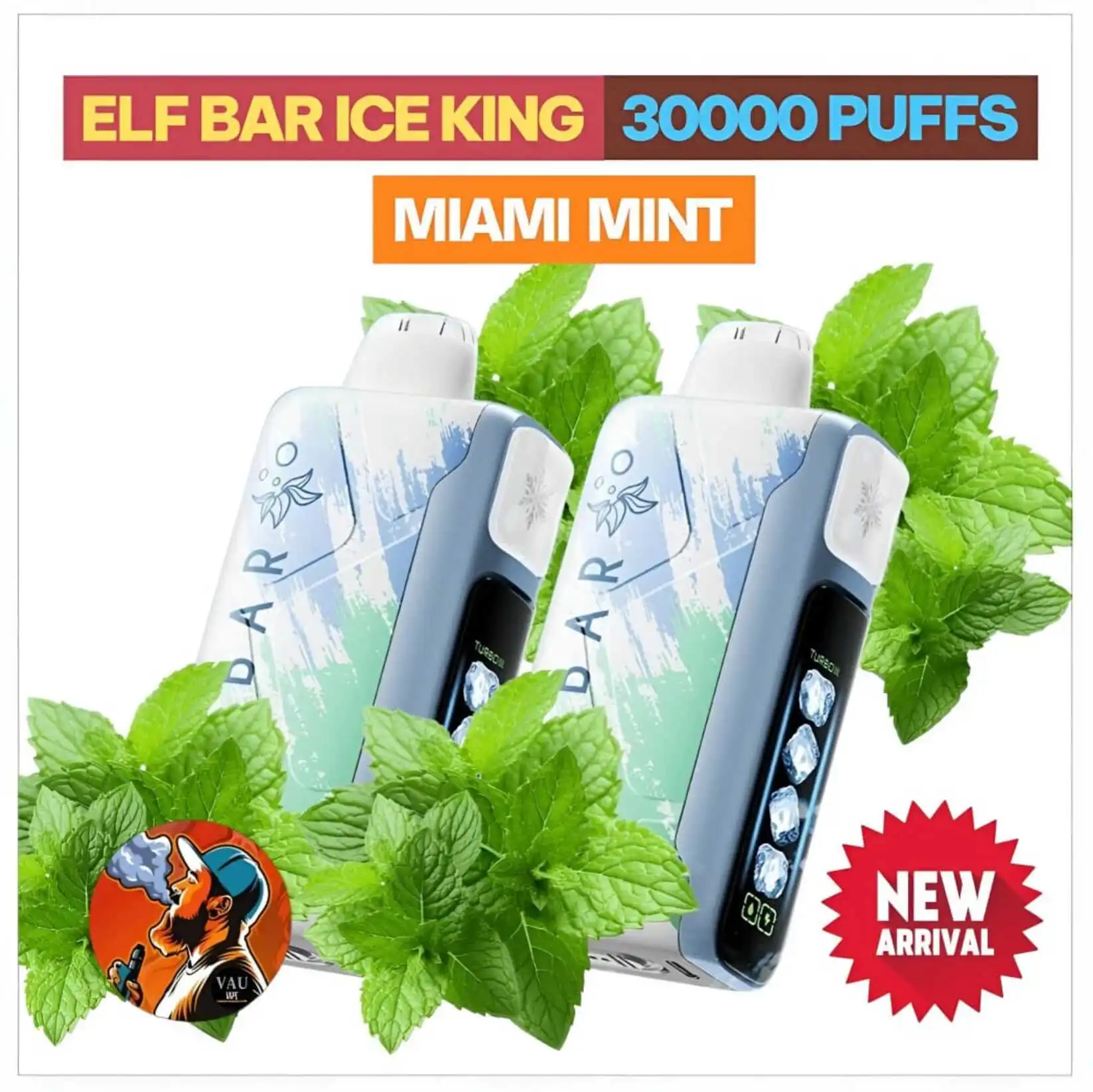 Elf Bar Ice King Miami Mint 30000 Puffs Disposable Vape - Dubai